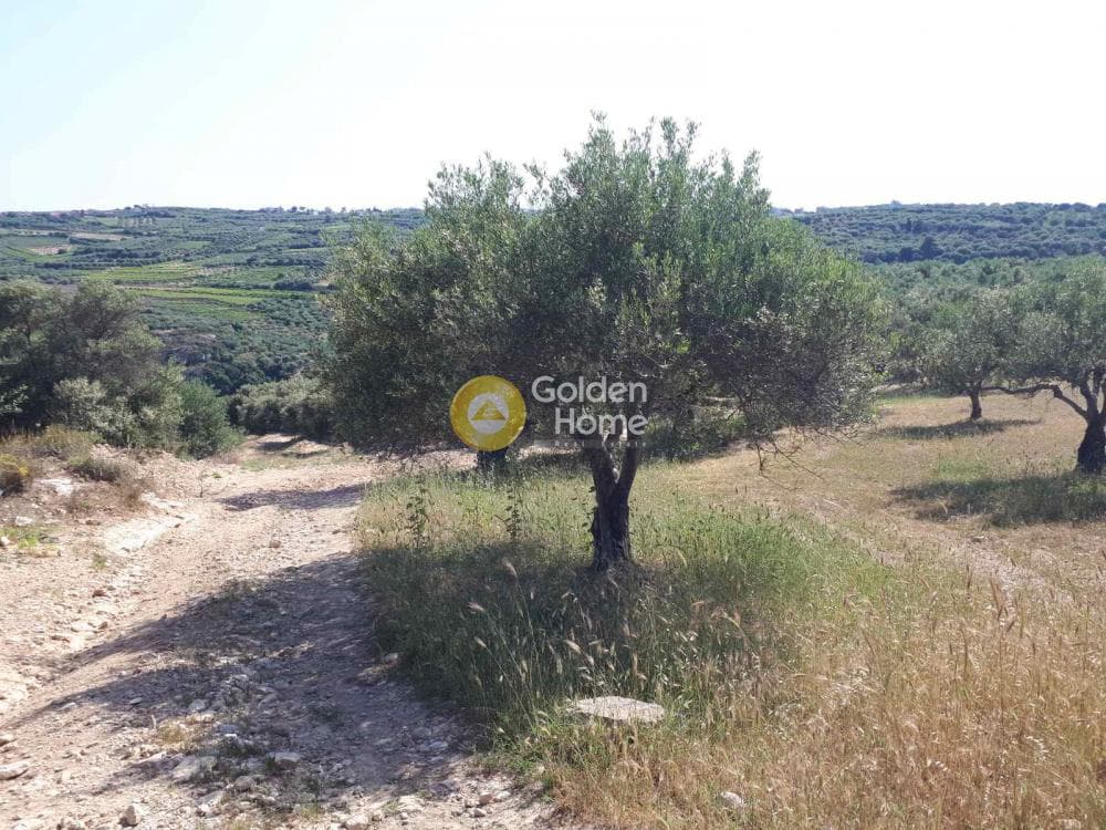 Parcel in Sgourokefali, Episkopi — Photo 11 of 15