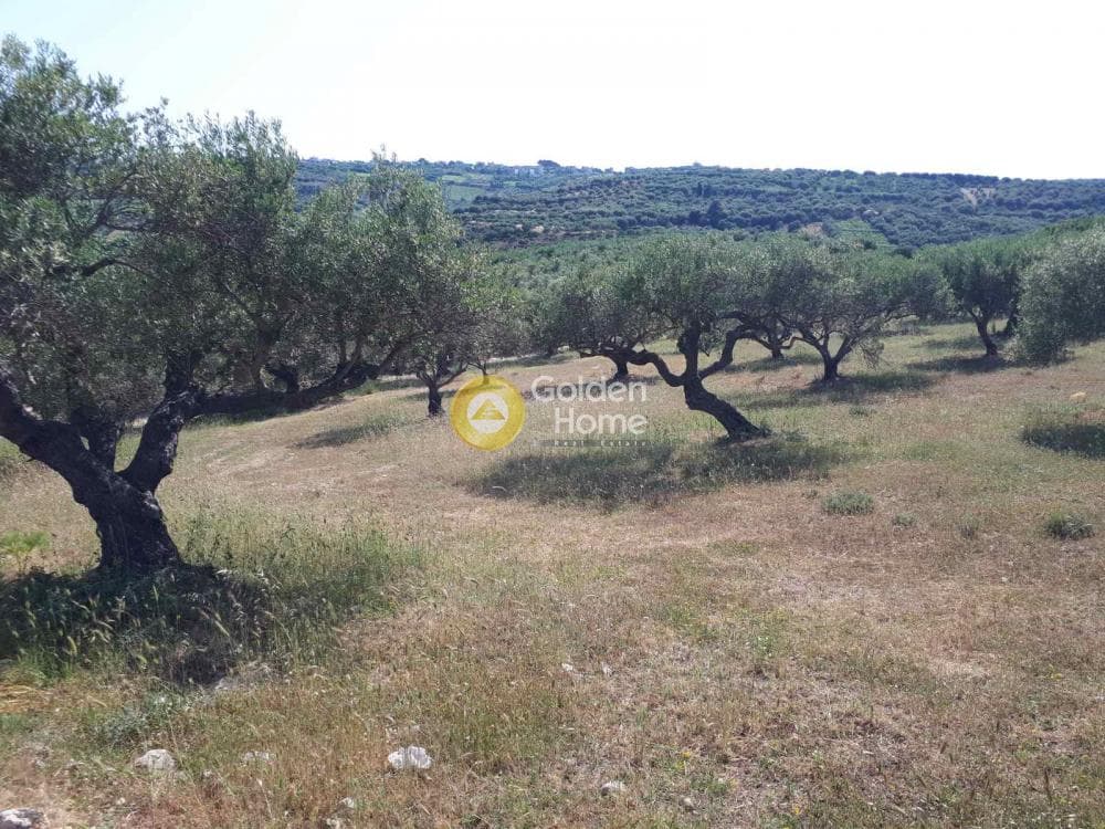 Parcel in Sgourokefali, Episkopi — Photo 10 of 15