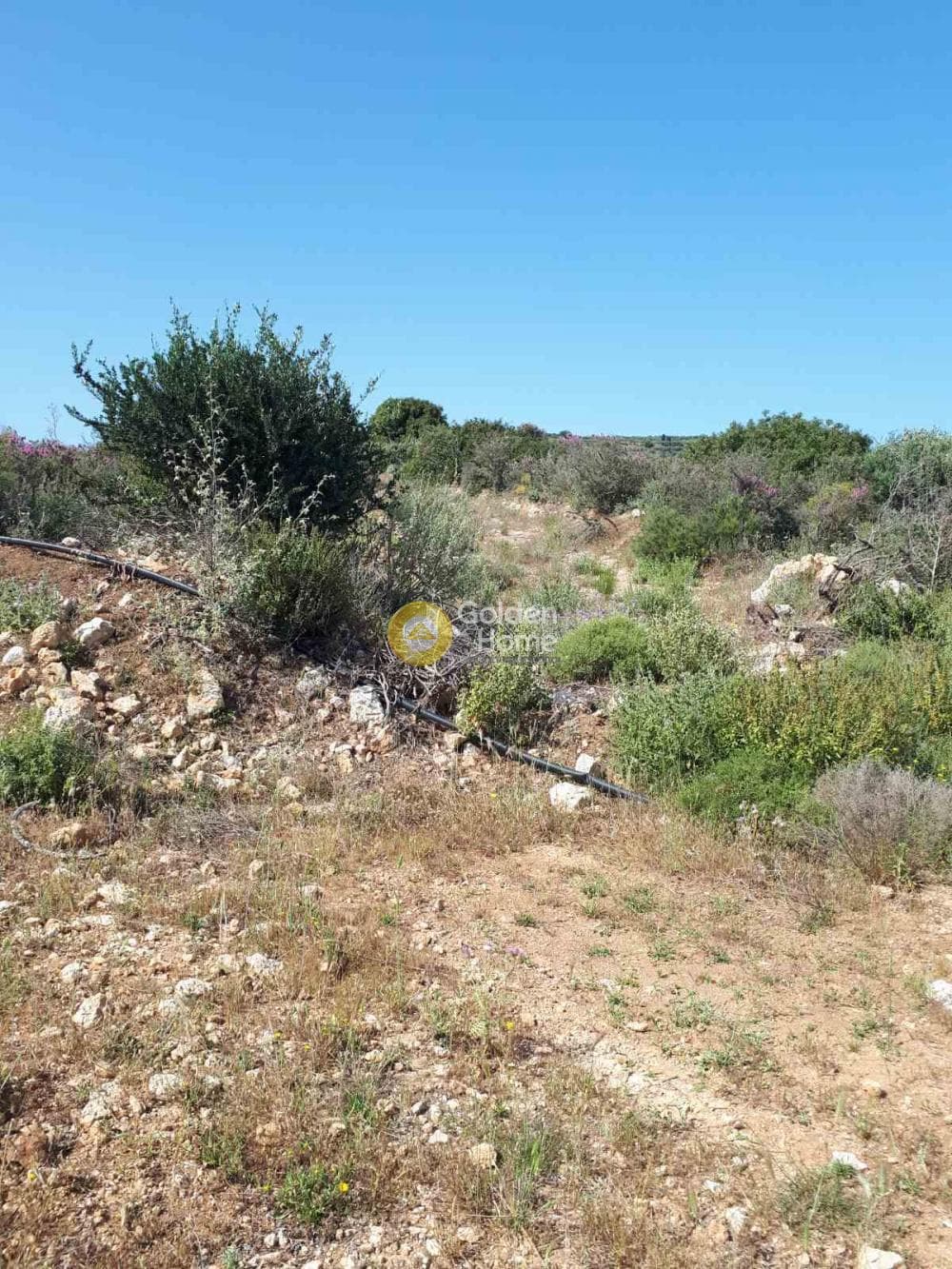 Parcel in Sgourokefali, Episkopi — Photo 8 of 15