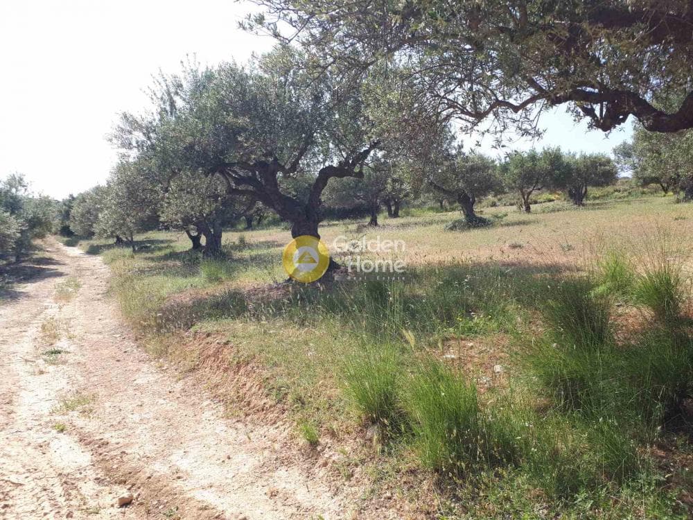 Parcel in Sgourokefali, Episkopi — Photo 7 of 15