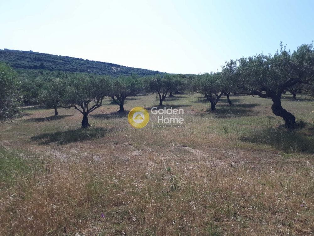 Parcel in Sgourokefali, Episkopi — Photo 6 of 15