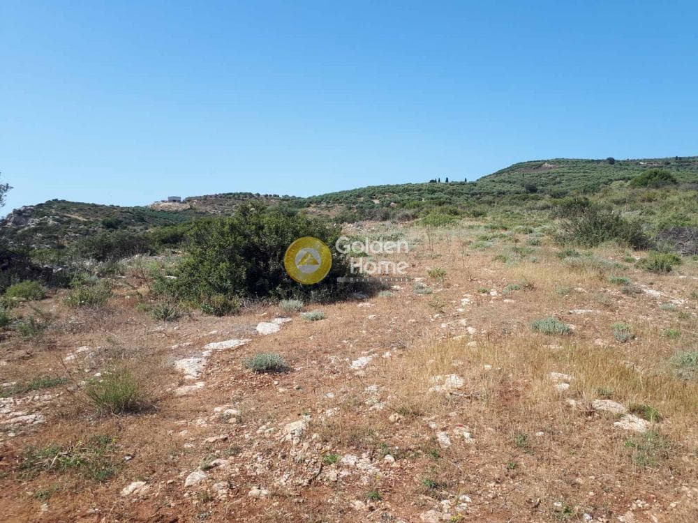 Parcel in Sgourokefali, Episkopi — Photo 12 of 15