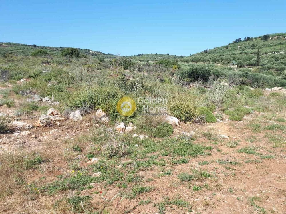 Parcel in Sgourokefali, Episkopi — Photo 14 of 15