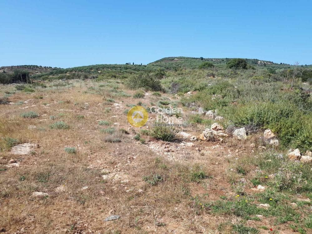 Parcel in Sgourokefali, Episkopi — Photo 15 of 15