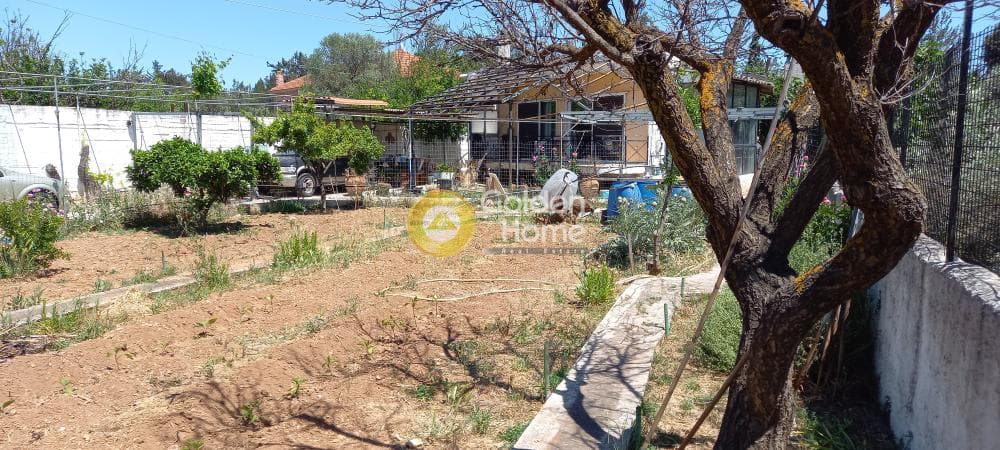House in Megala Sxoinia A, Acharnes — Photo 5 of 37