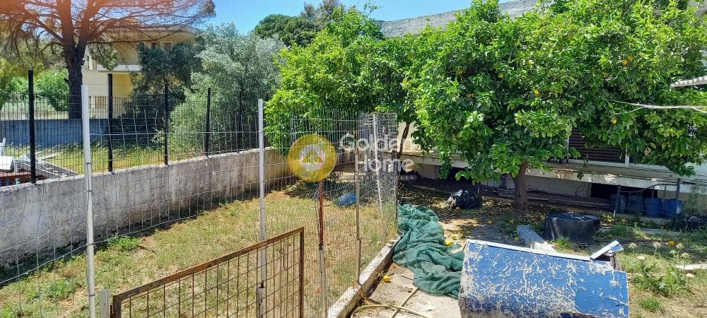 House in Megala Sxoinia A, Acharnes — Photo 37 of 37