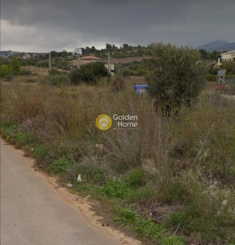 Αγροτεμάχιο στην Κέντρο, Πικέρμι — Φωτογραφία 2 από 5
