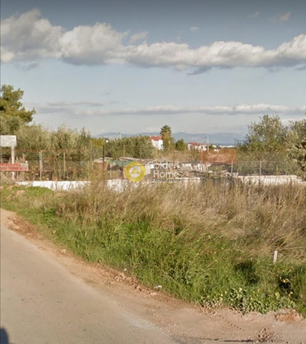 Αγροτεμάχιο στην Κέντρο, Πικέρμι — Φωτογραφία 3 από 5