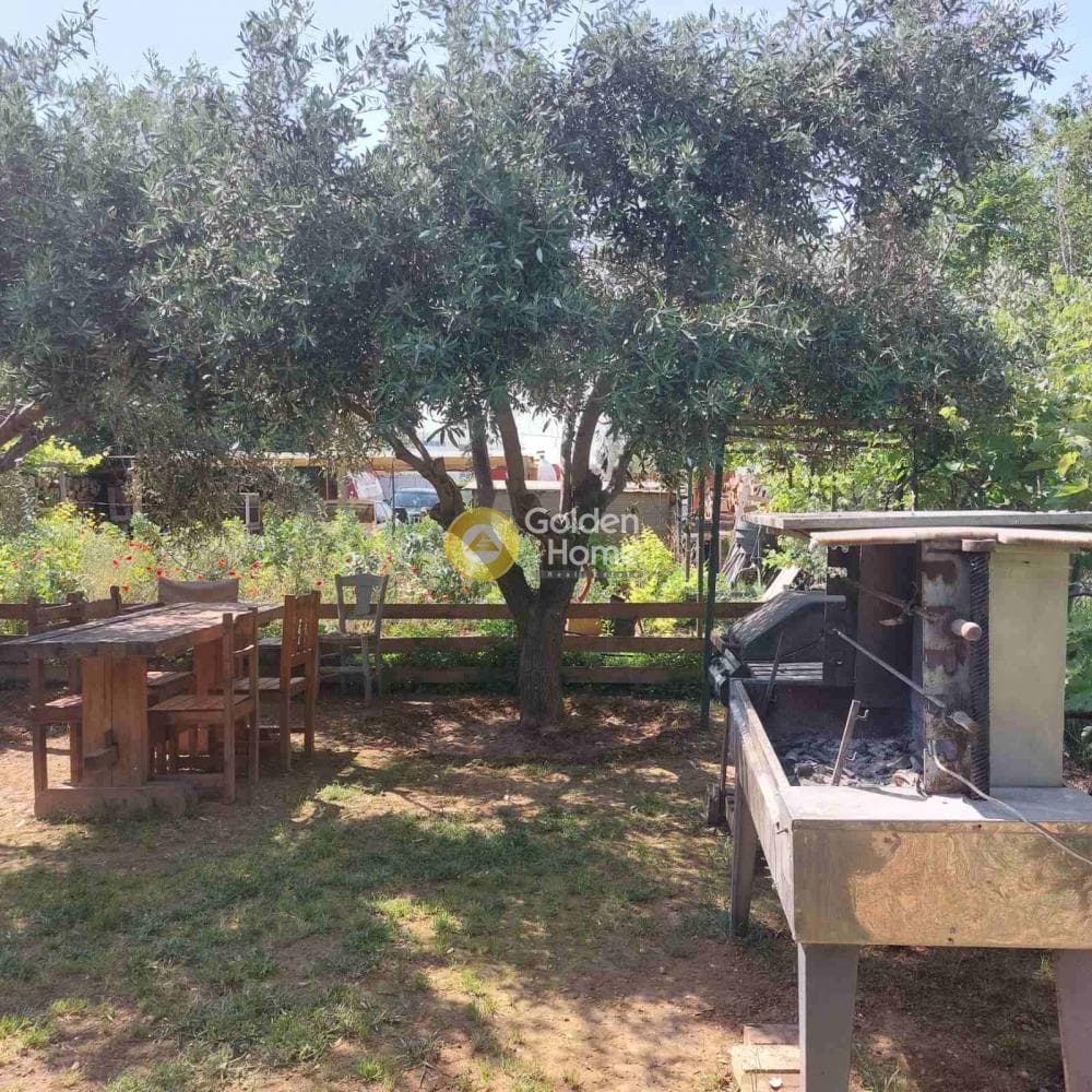 Αγροτεμάχιο στην Αγία Κυριακή, Κηφισιά — Φωτογραφία 6 από 13
