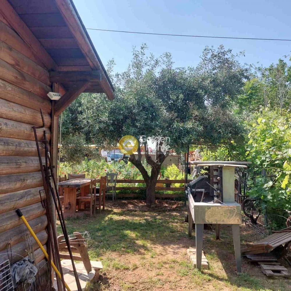 Αγροτεμάχιο στην Αγία Κυριακή, Κηφισιά — Φωτογραφία 5 από 13