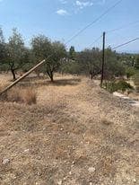 Parcel in Kipseli, Aegina — Photo 8 of 10