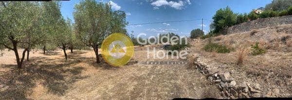 Parcel in Kipseli, Aegina — Photo 3 of 10
