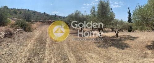 Parcel in Kipseli, Aegina — Photo 5 of 10