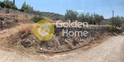 Parcel in Kipseli, Aegina — Photo 6 of 10