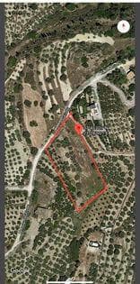 Parcel in Kipseli, Aegina — Photo 10 of 10