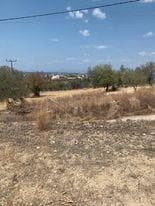 Parcel in Kipseli, Aegina — Photo 9 of 10