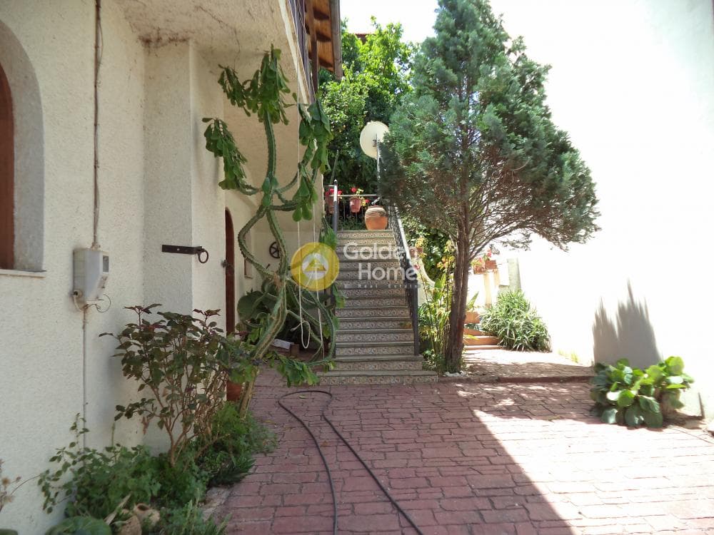House in Rododafni, Aigio — Photo 9 of 11