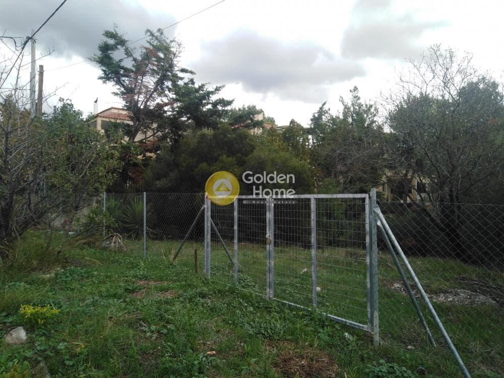 Building Plot in Megala Sxoinia A, Acharnes — Photo 1 of 3