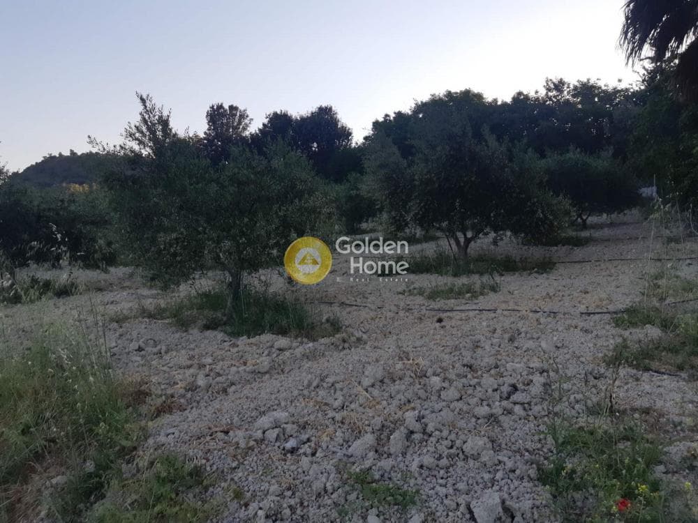 Αγροτεμάχιο στην Σίβα, Τετραχώρι — Φωτογραφία 2 από 8