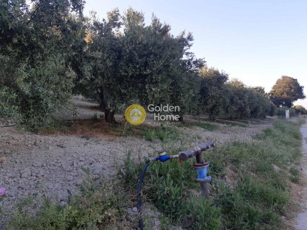 Αγροτεμάχιο στην Σίβα, Τετραχώρι — Φωτογραφία 8 από 8