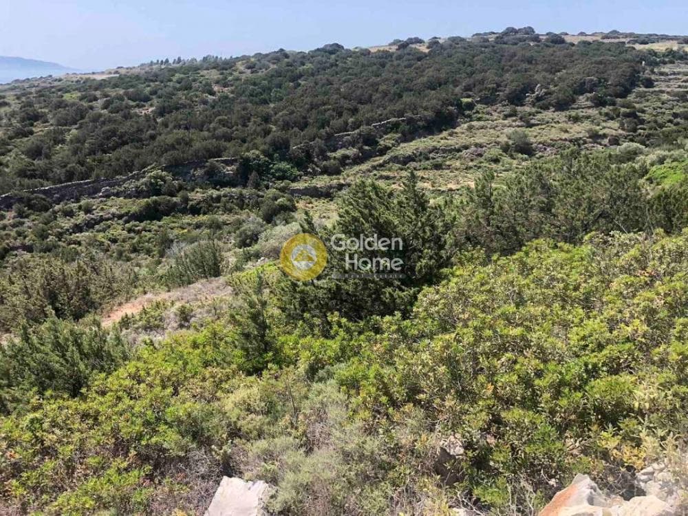 Building Plot in Kostos, Paros — Photo 8 of 9