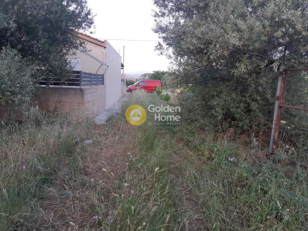 Οικόπεδο στην Νέο Βενεράτο, Τετραχώρι — Φωτογραφία 1 από 4