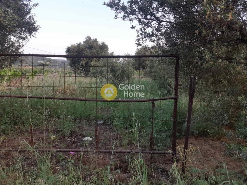 Οικόπεδο στην Νέο Βενεράτο, Τετραχώρι — Φωτογραφία 2 από 4