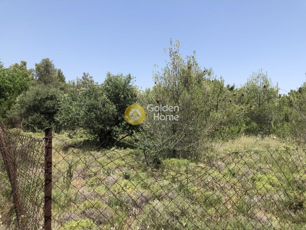 Οικόπεδο στην Μεγάλα Σχοινία Α, Αχαρνές — Φωτογραφία 1 από 3