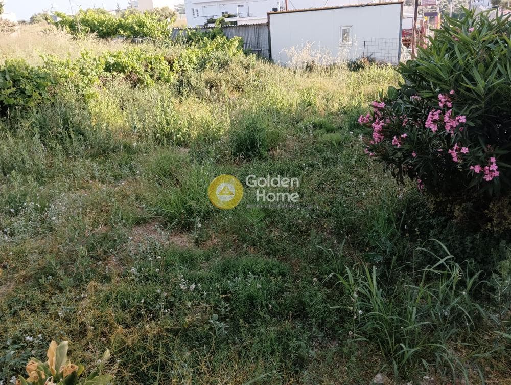Parcel in Center, Gazi — Photo 2 of 3