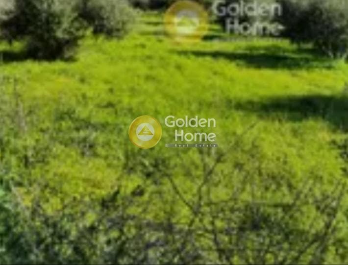 Οικόπεδο στην Μαλάδες, Τέμενος — Φωτογραφία 3 από 3