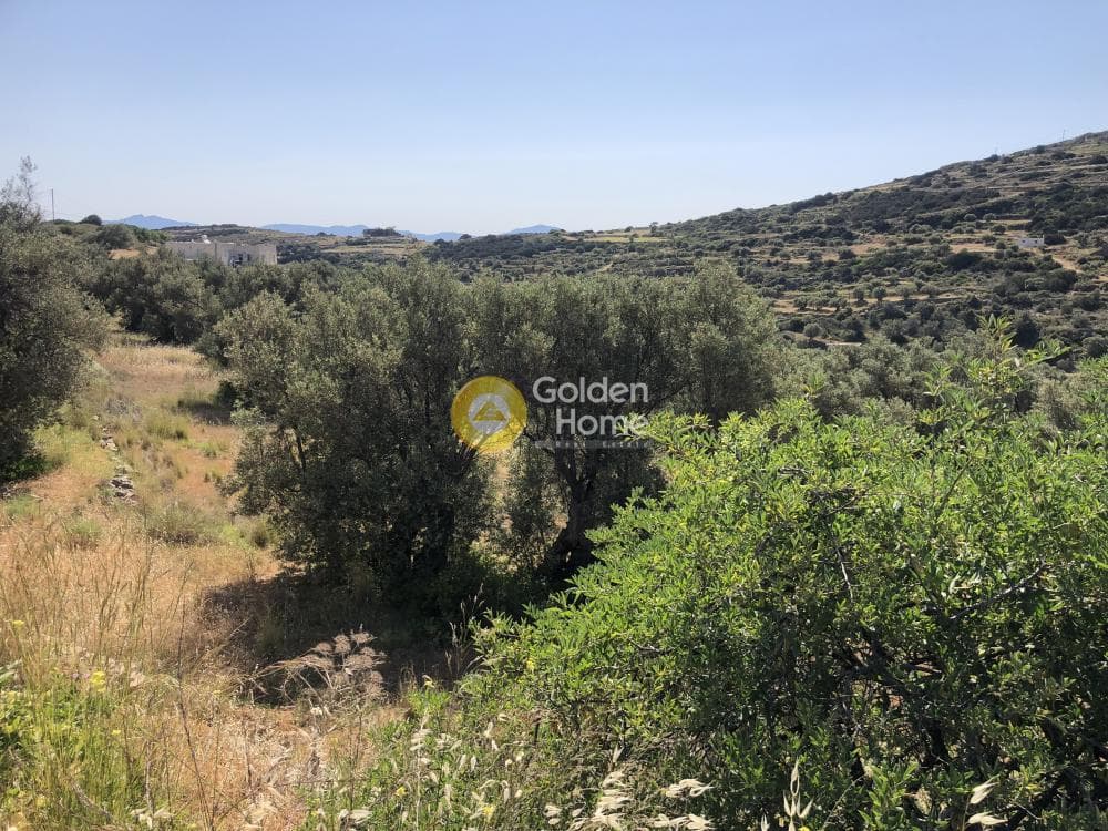 Αγροτεμάχιο στην Λεύκες, Πάρος — Φωτογραφία 2 από 2