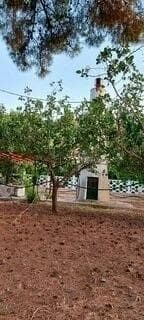 Μονοκατοικία στην Άνω Αλμυρή, Σαρωνικός — Φωτογραφία 10 από 18