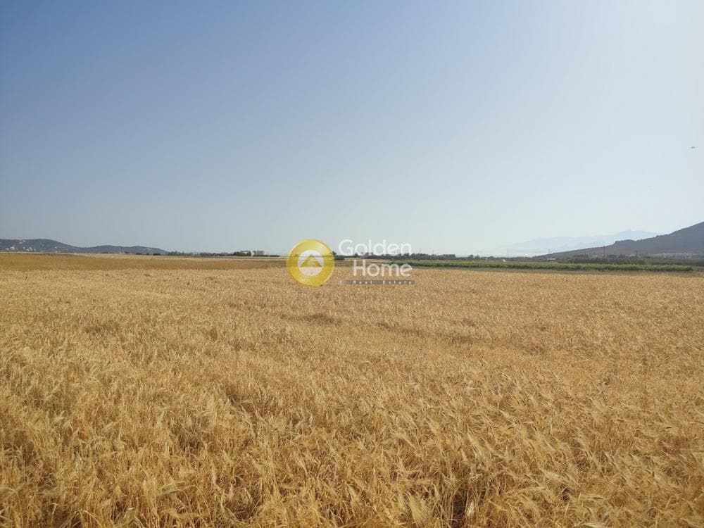 Αγροτεμάχιο στην Κέντρο, Σαντορίνη