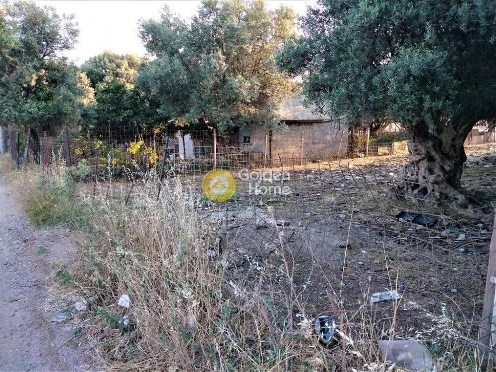 Αγροτεμάχιο στην Μεγάλα Σχοινία Α, Αχαρνές — Φωτογραφία 2 από 10
