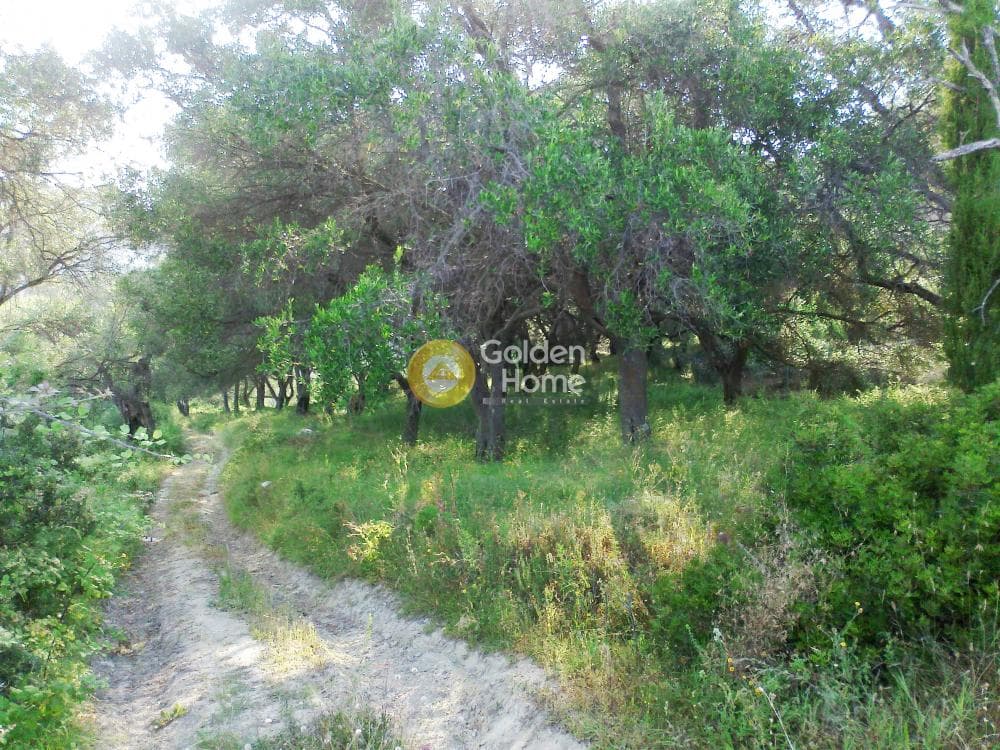 Parcel in Αgios Georgios, Corfu — Photo 7 of 10
