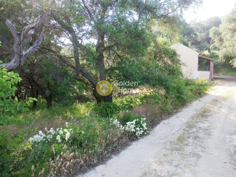Parcel in Αgios Georgios, Corfu — Photo 8 of 10