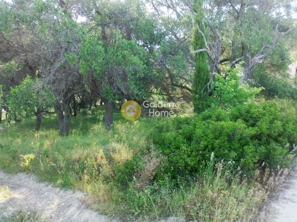 Parcel in Αgios Georgios, Corfu — Photo 5 of 10