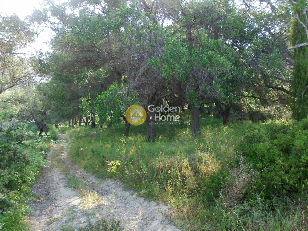 Parcel in Αgios Georgios, Corfu — Photo 9 of 10