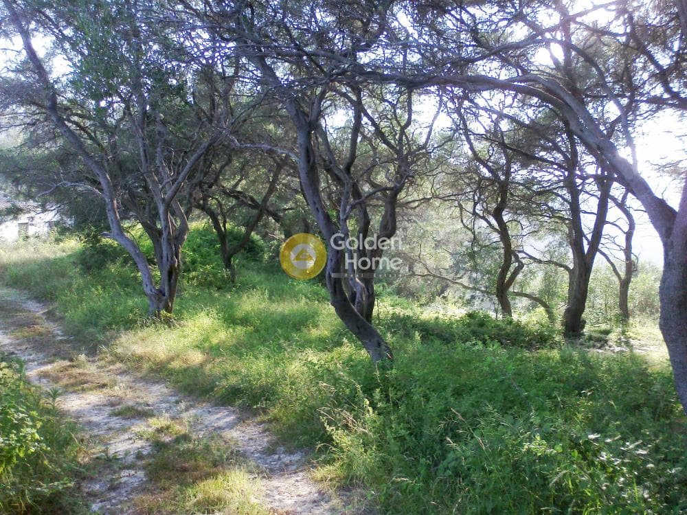 Parcel in Αgios Georgios, Corfu — Photo 2 of 10