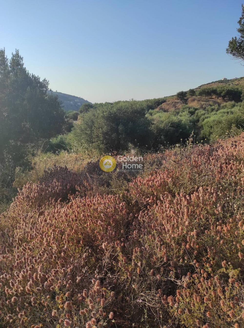 Parcel in Skalani, Episkopi — Photo 1 of 4