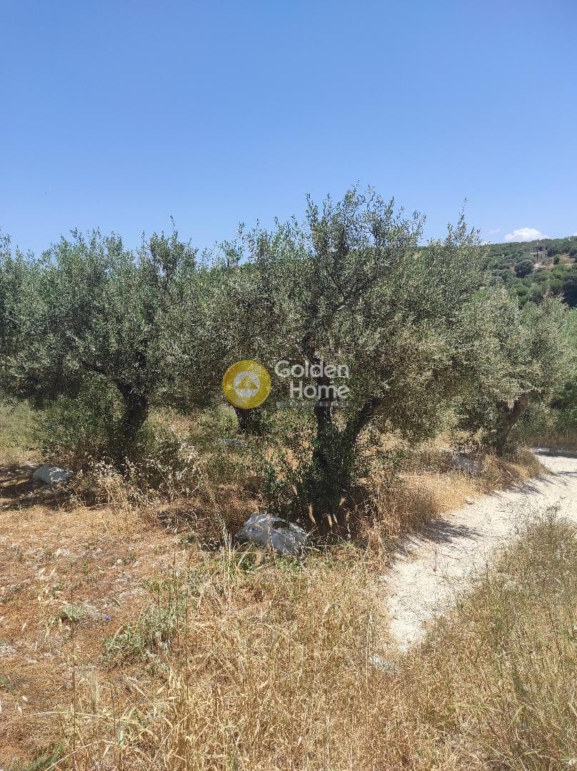 Οικόπεδο στην Κάτω Αρχάνες, Αρχάνες — Φωτογραφία 4 από 6