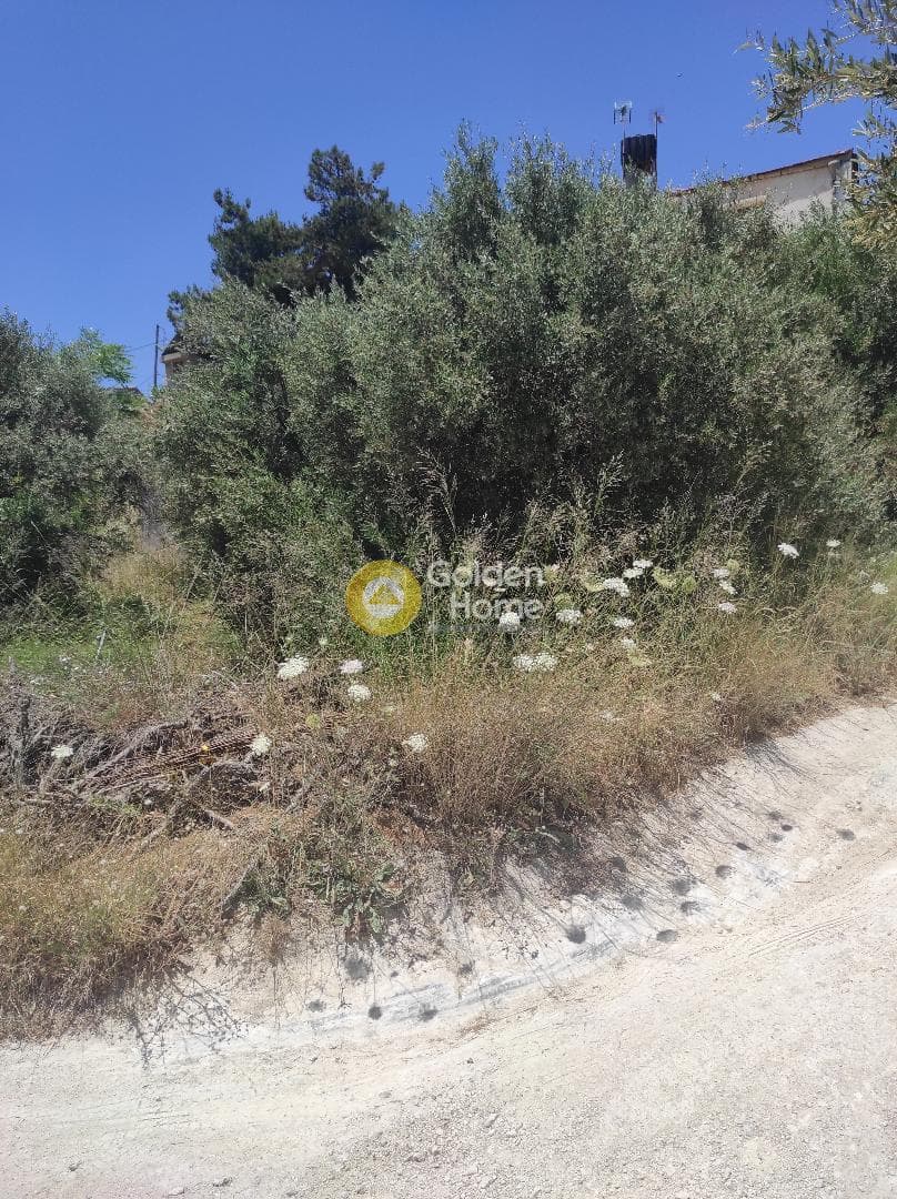 Οικόπεδο στην Κάτω Αρχάνες, Αρχάνες — Φωτογραφία 5 από 6