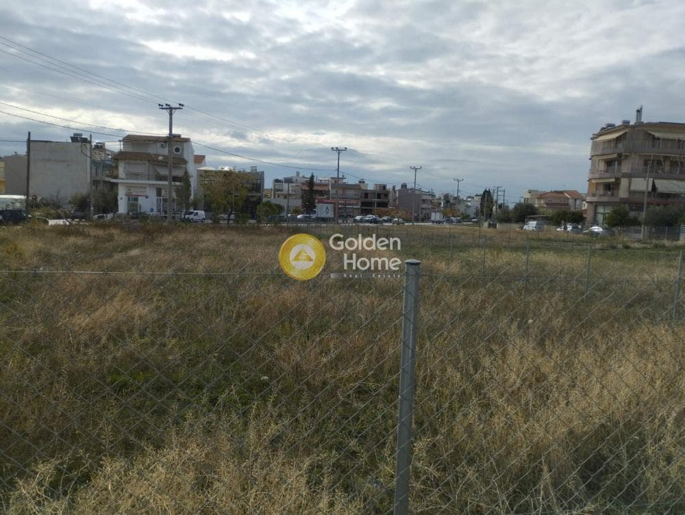 Building Plot in Megala Sxoinia A, Acharnes — Photo 1 of 5