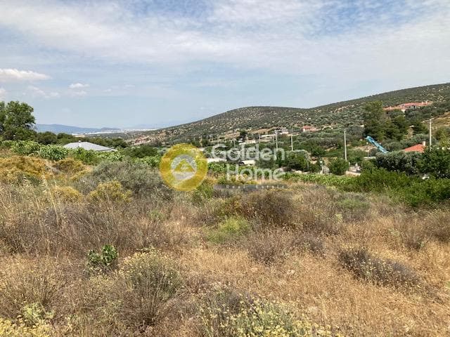 Αγροτεμάχιο στην Βραυρώνα, Βραυρώνα — Φωτογραφία 4 από 11