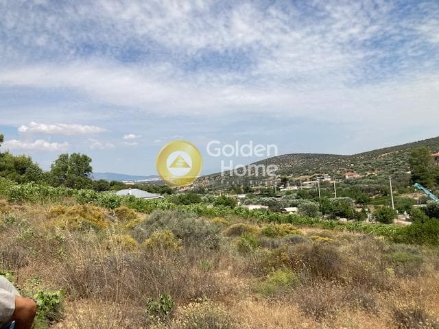 Αγροτεμάχιο στην Βραυρώνα, Βραυρώνα — Φωτογραφία 9 από 11