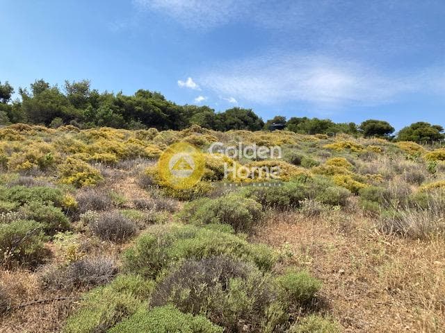 Αγροτεμάχιο στην Βραυρώνα, Βραυρώνα — Φωτογραφία 10 από 11