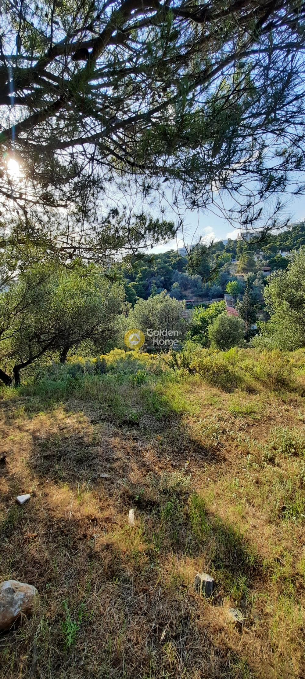 Building Plot in Patima, Chalandri — Photo 4 of 8