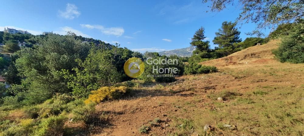 Building Plot in Patima, Chalandri — Photo 5 of 8