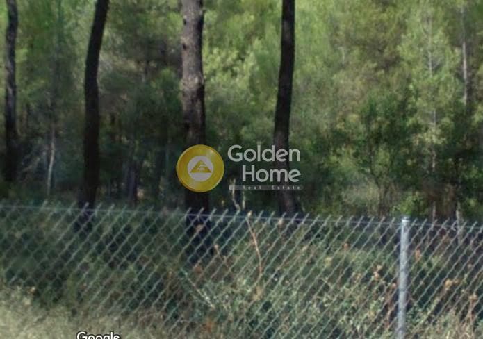 Οικόπεδο στην Δροσιά, Δροσιά — Φωτογραφία 2 από 2