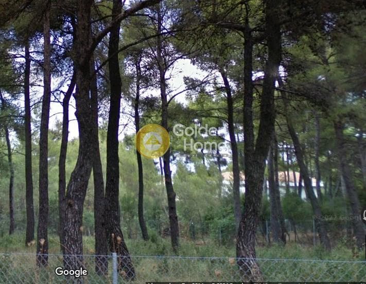Οικόπεδο στην Δροσιά, Δροσιά — Φωτογραφία 1 από 2